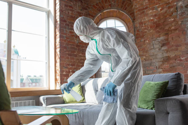 Trusted La Habra Heights, CA Mold Removal & Remediation Experts